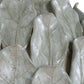 Levlyn Table Lamp
