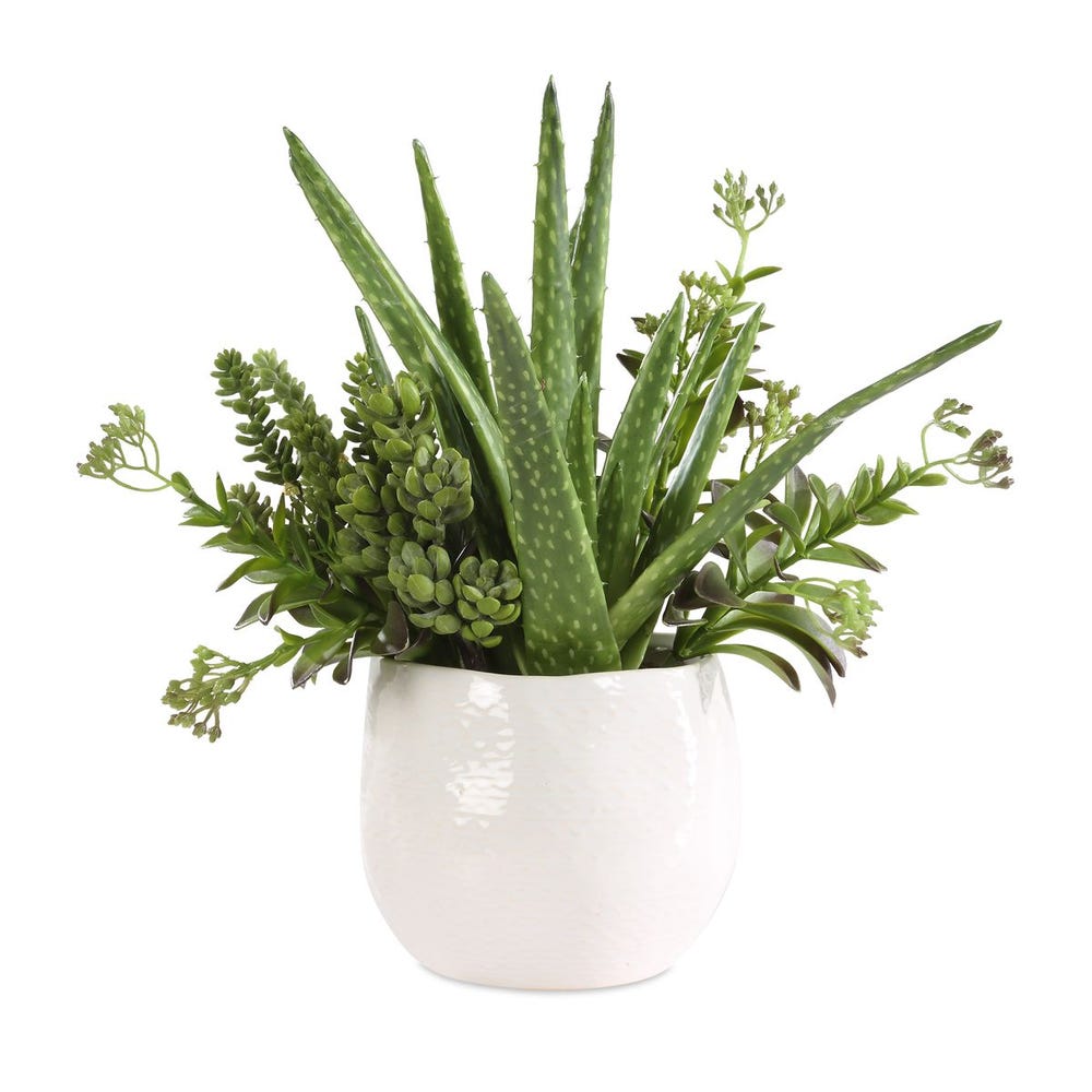 Sundown Succulent Accent