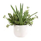 Sundown Succulent Accent