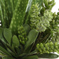 Sundown Succulent Accent