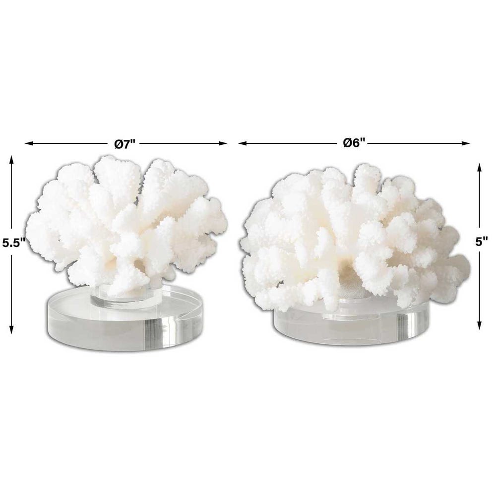 Hard Coral Sculpture, S/2