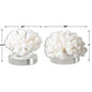 Hard Coral Sculpture, S/2