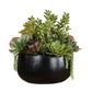 Mico Indoor-Outdoor Succulent Centerpiece