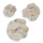 Teo Wood Wall Decor, Bleached S/3