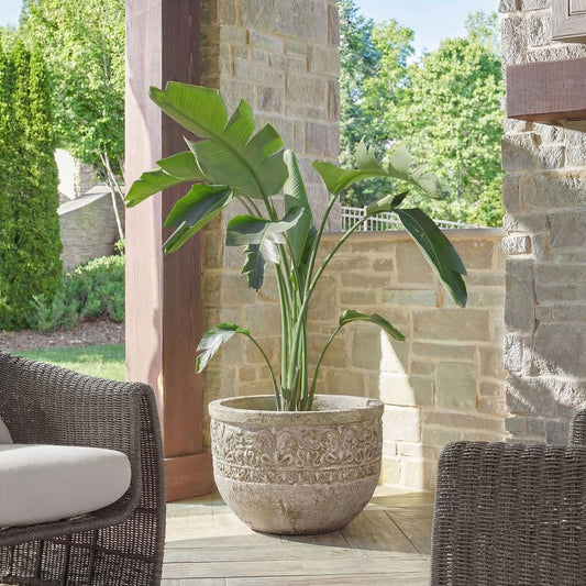 Regalia Indoor-Outdoor Planter