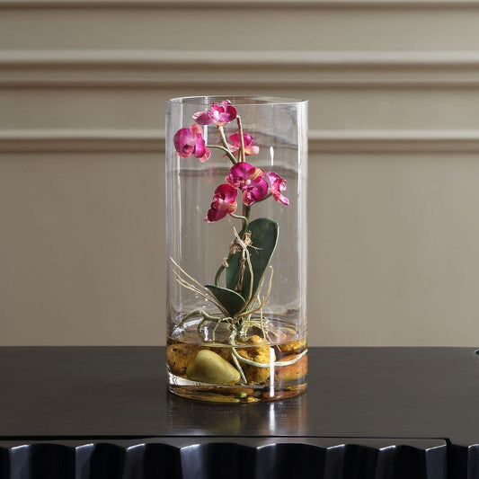 Mariposa Orchid, Fuchsia