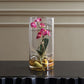 Mariposa Orchid, Fuchsia
