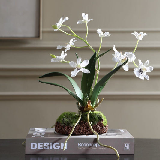 Clovis Orchid Drop-In