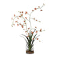 Dancing Orchid