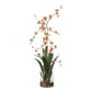 Dancing Orchid