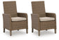 Revare Beach Arm Chair With Cushion (2/CN)