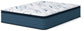 Limited Edition Plush Pt 3.0  Mattress