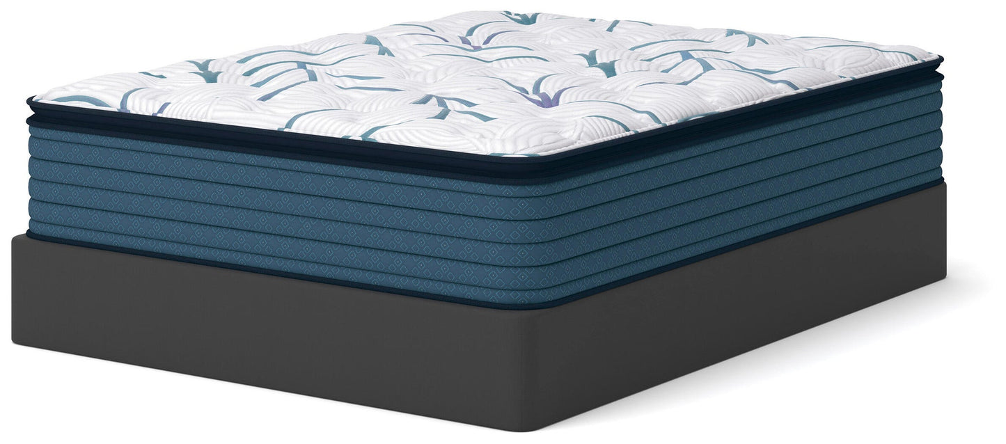 Limited Edition Plush Pt 3.0  Mattress