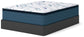 Limited Edition Plush Pt 3.0  Mattress