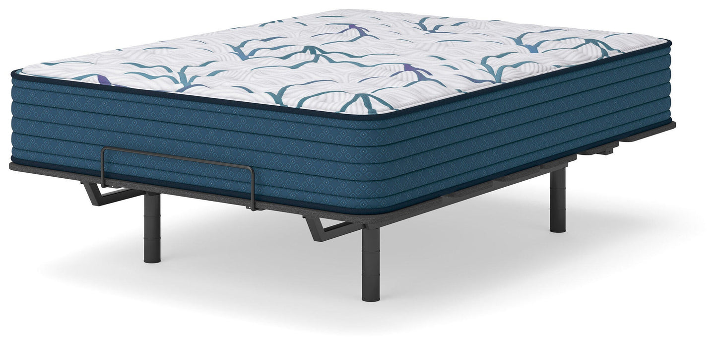 Limited Edition Firm 3.0  Mattress