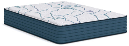 Limited Edition Plush 3.0  Mattress