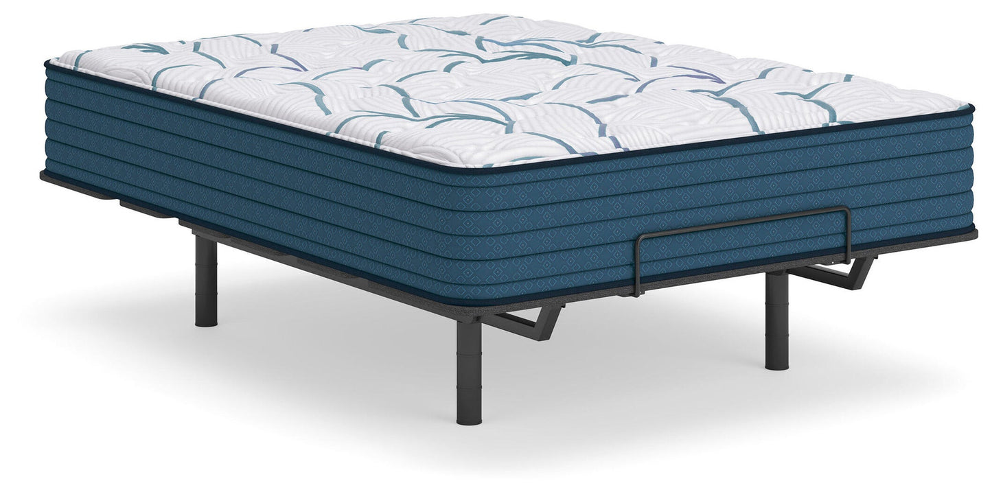 Limited Edition Plush 3.0  Mattress