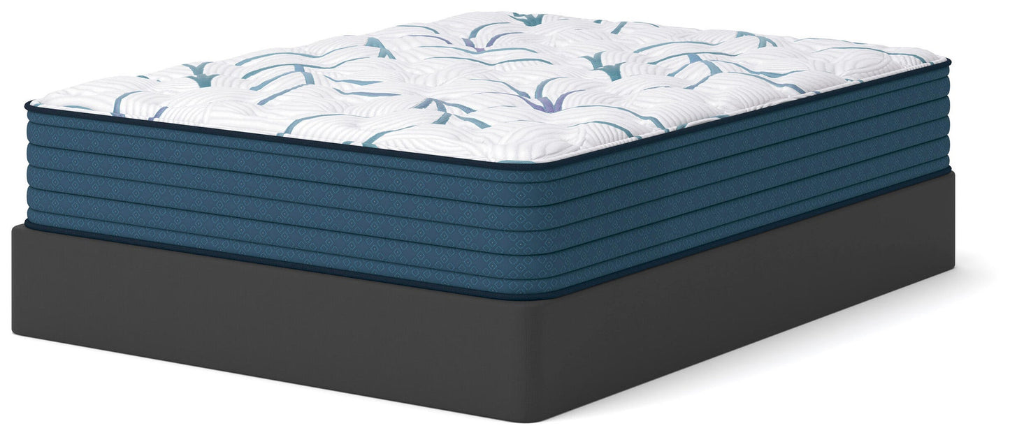Limited Edition Plush 3.0  Mattress
