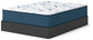 Limited Edition Plush 3.0  Mattress