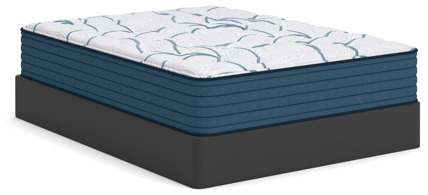 Limited Edition Plush 3.0  Mattress