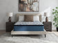 Limited Edition Plush Pt 3.0  Mattress