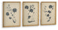 Huddwick Wall Art Set (3/CN)