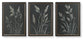 Janisburg Wall Art Set (3/CN)